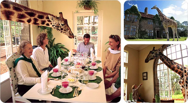 01_Hotel.webp