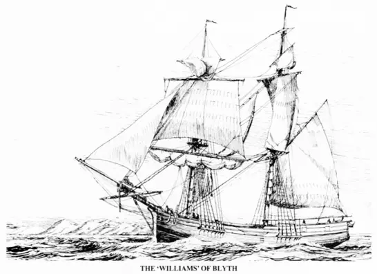Williams-of-Blith.webp